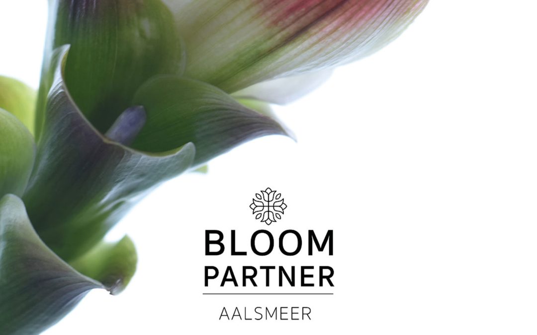 Bloompartner: Oog voor bloemen